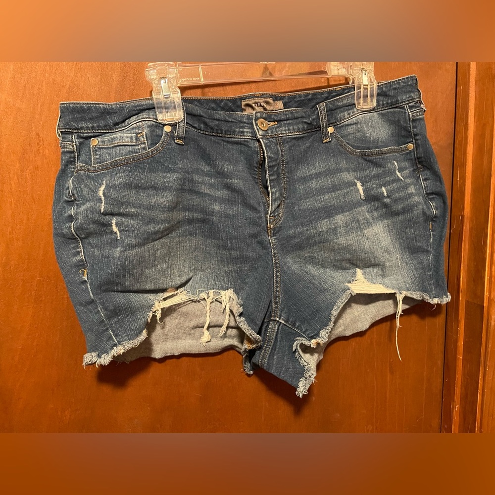 Distressed Torrid size 24 shorts